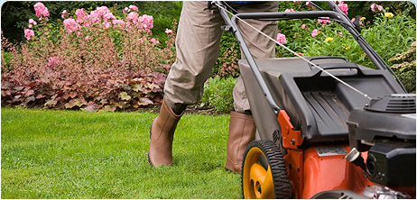 The appraiser is required to inspect the interior and exterior of your property so be sure your yard looks inviting and well kept.